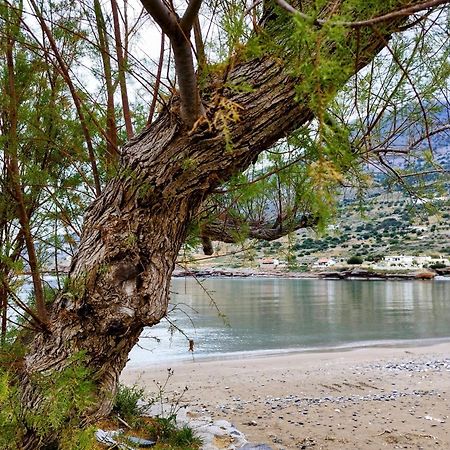 Tholos Alexandra'S Beachfront House Kavoúsion Buitenkant foto