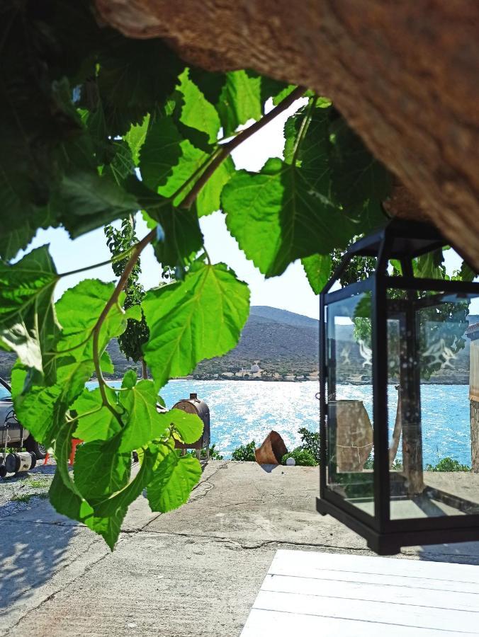 Tholos Alexandra'S Beachfront House Kavoúsion Buitenkant foto